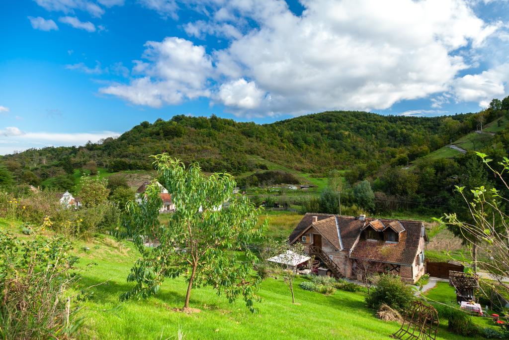 Country House "Stricev Grunt" Stara Kapela Pension Kamer foto